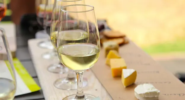 Glasses of white and red wine lined up with pieces of cheese in front. The names of them written next to the cheese. 