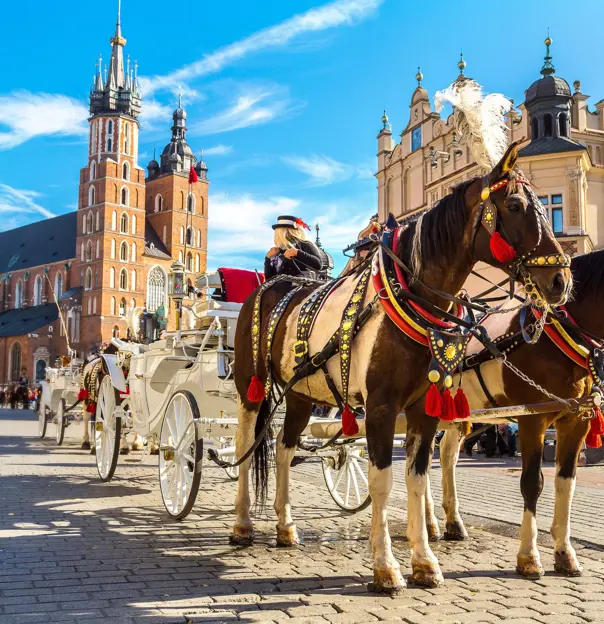 Horse and carriage in Krakow 