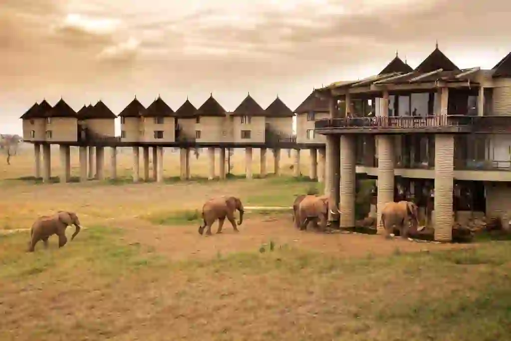 Sarova Salt Lick Game Lodge, Taita Hills 1