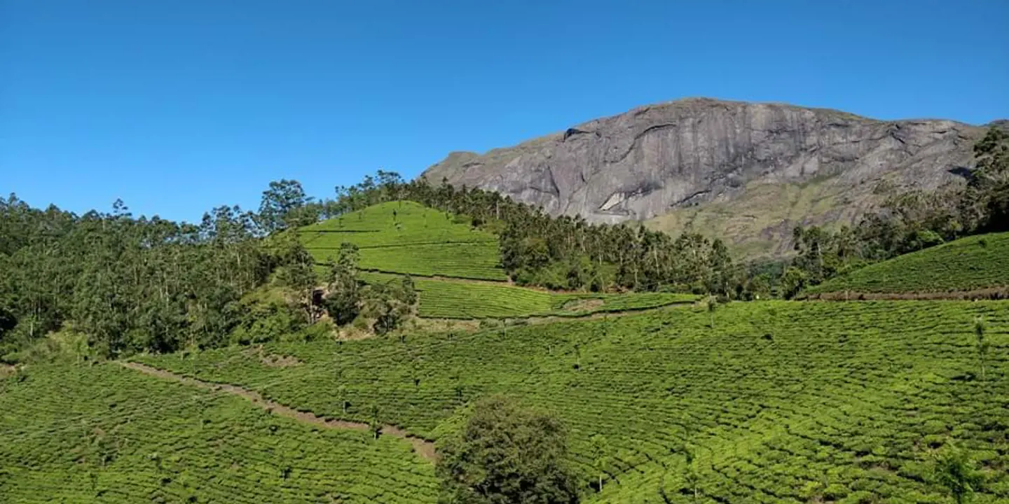 Eravikulam National Park