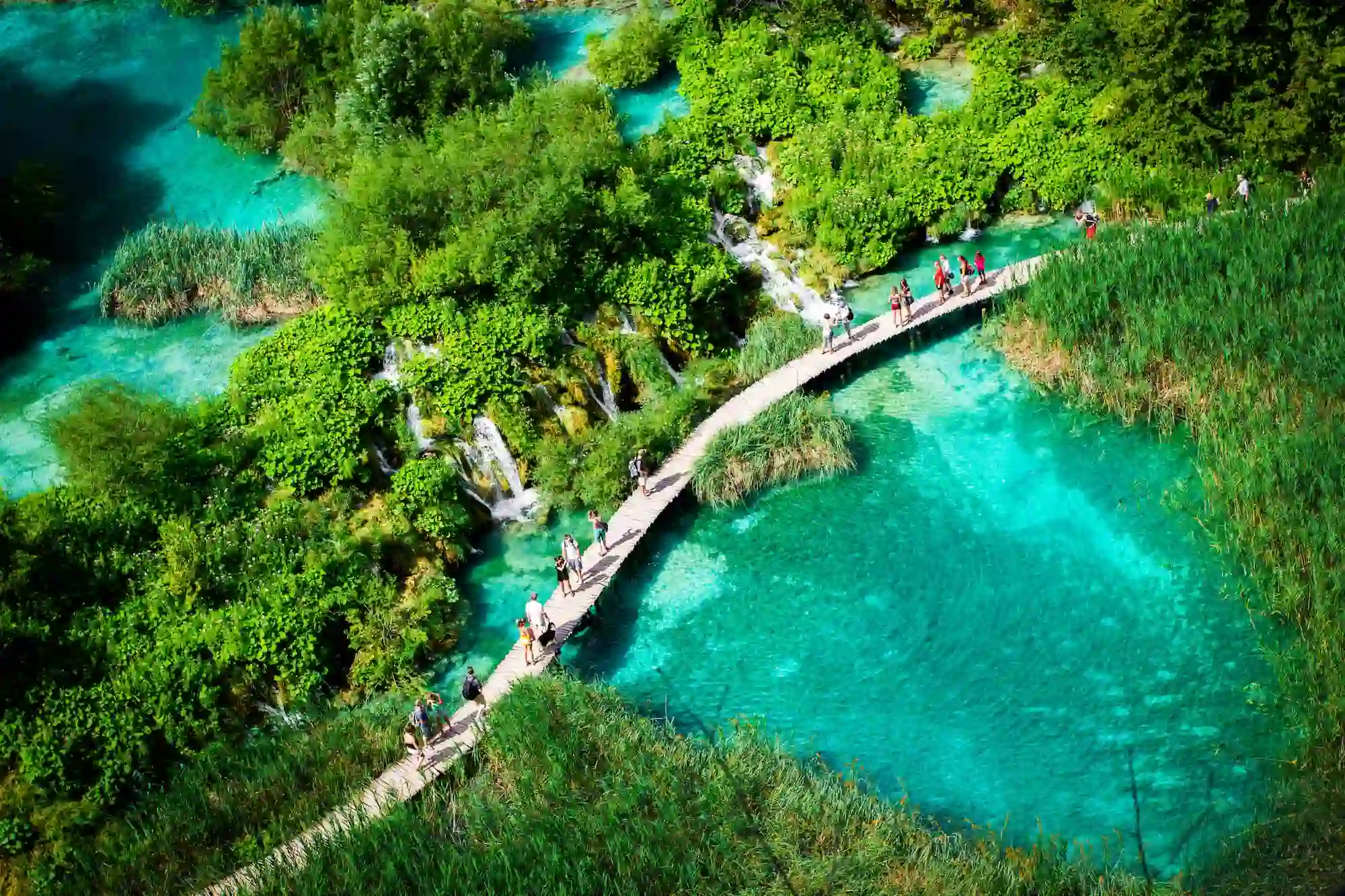 Adobestock 55515350 (1)