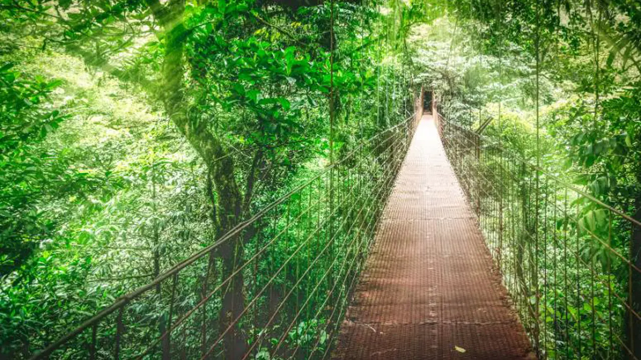 Monteverde Cloud Forest, Costa Rica