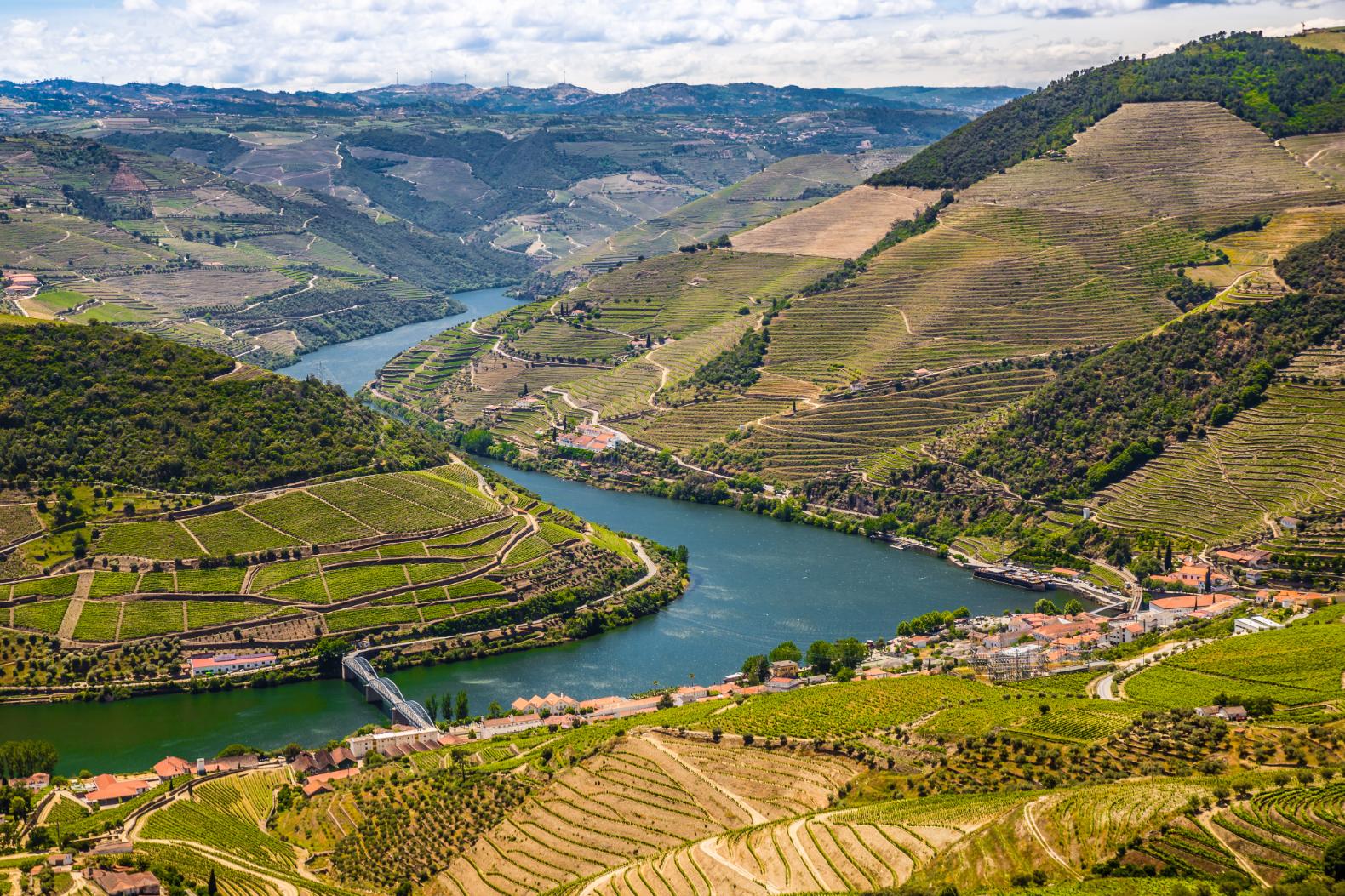 Vineyards, Douro Valley