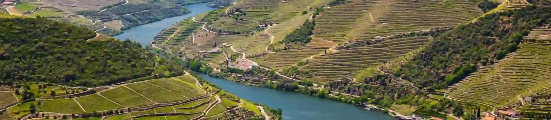 Vineyards, Douro Valley