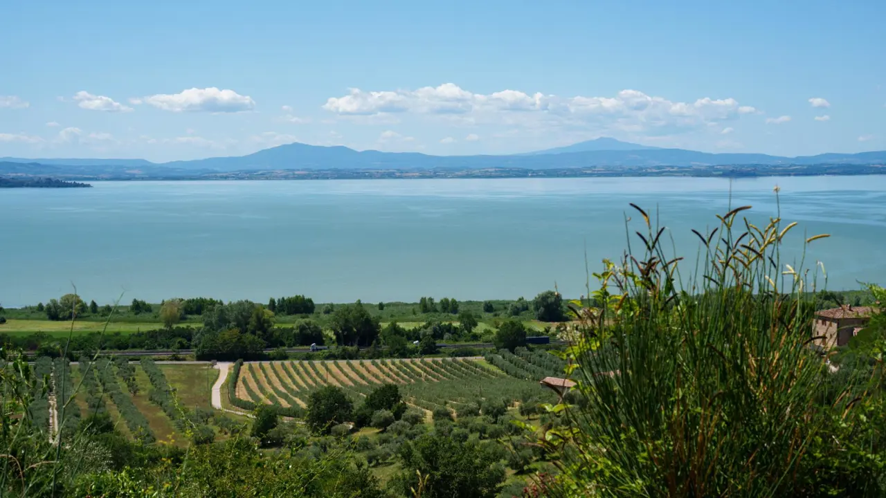 Trasimeno Lake, near Passignano, Perugia Province, Umbria
