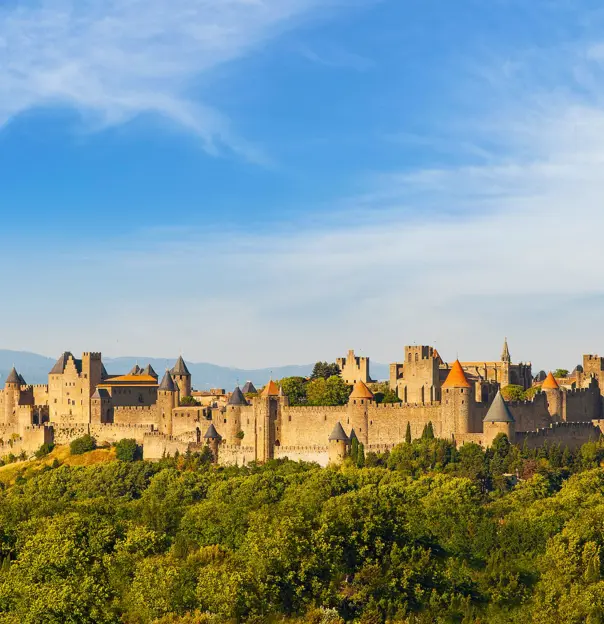 Wide angle shot of a large brown castle on the top of a forested hill, in front of a blue sky.