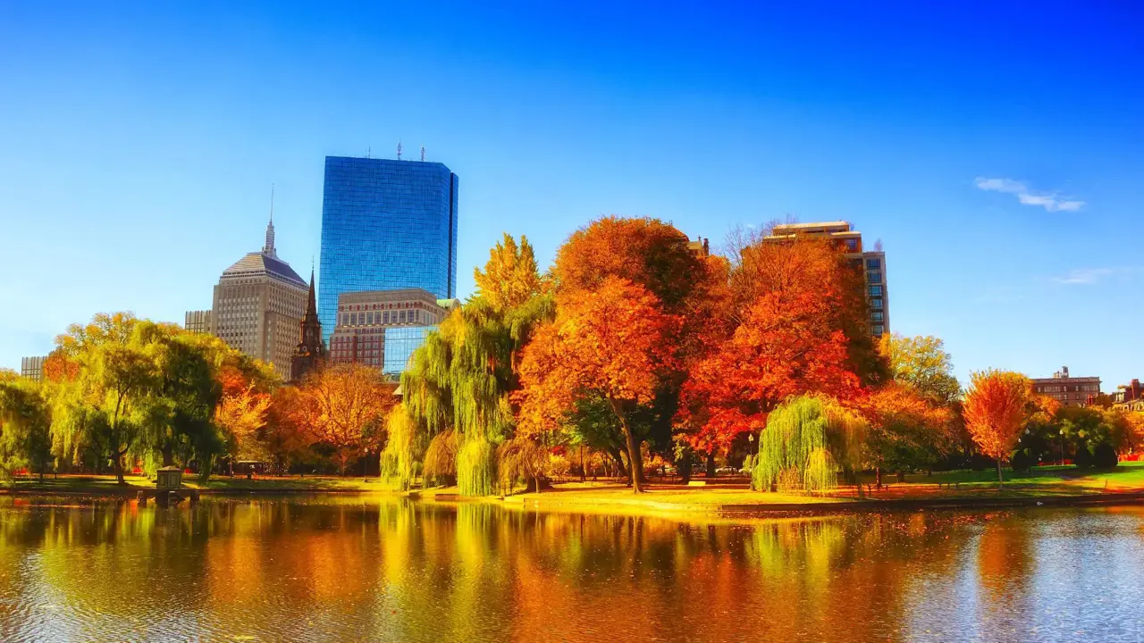 Colourful autumn foliage in Boston Common park, Massachusetts, with historic buildings and skyscrapers in the background