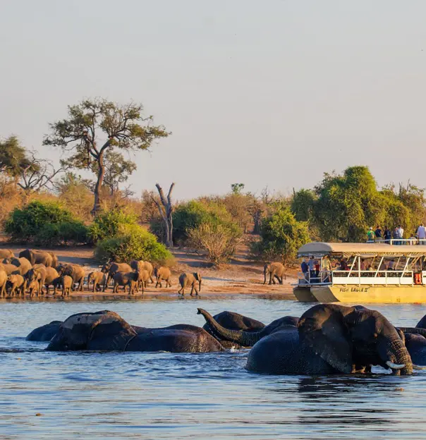 Chobe Boat Cruise, Botswana