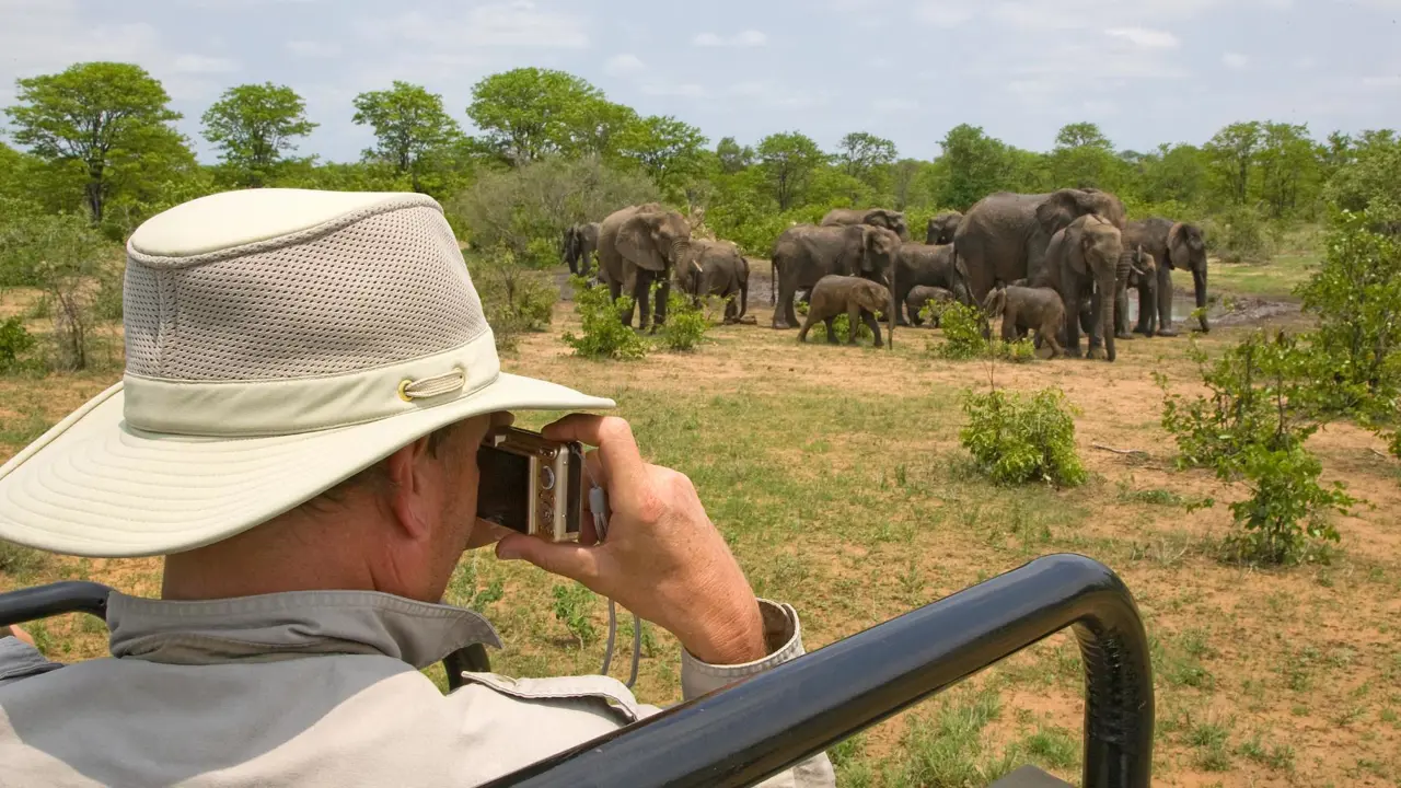 Gettyimages 93425715 South Africa Safari Elephant EDIT