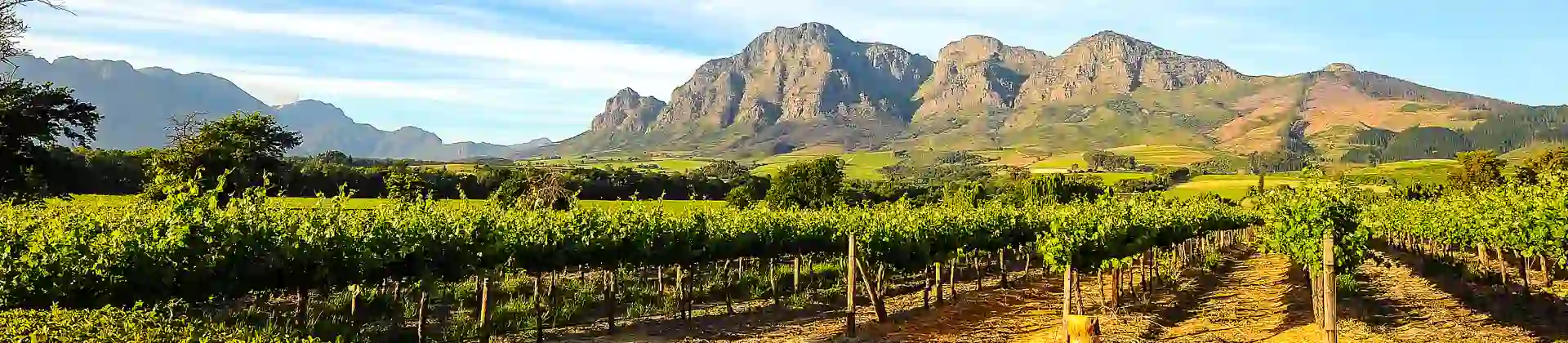 Winelands, South Africa