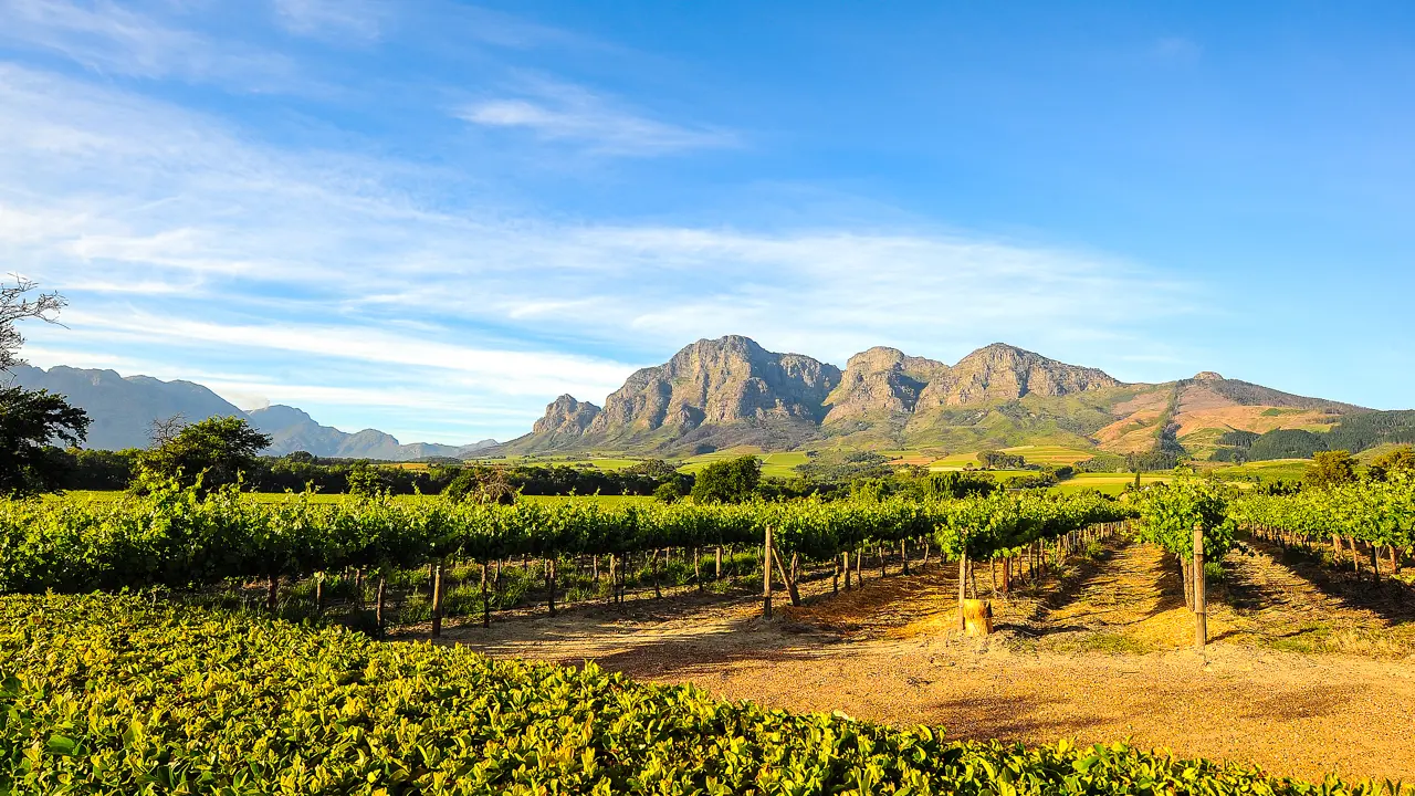 Winelands, South Africa