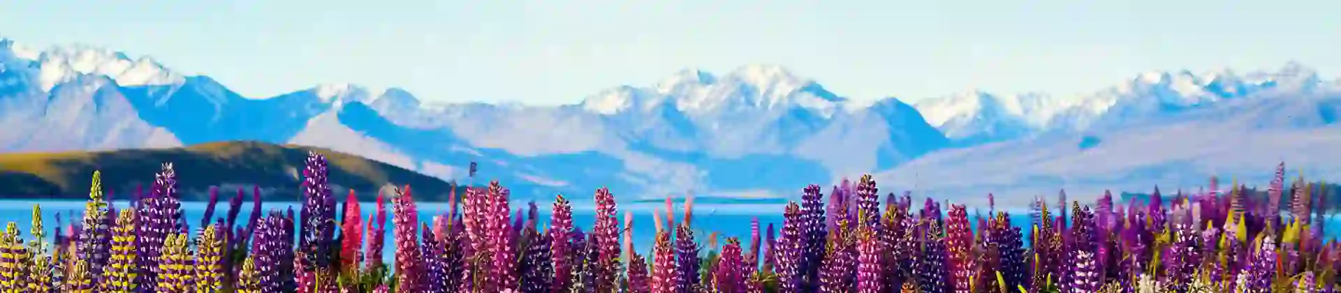 Lake Tekapo, New Zealand