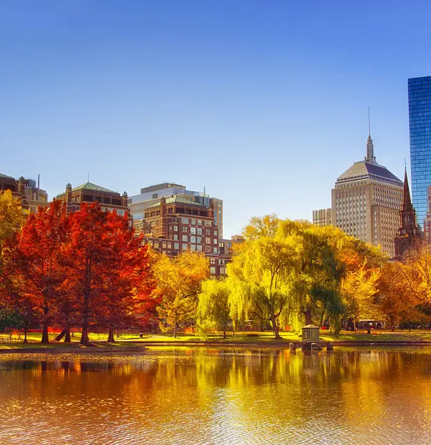 1920 Sh 665455036 Boston Common Fall