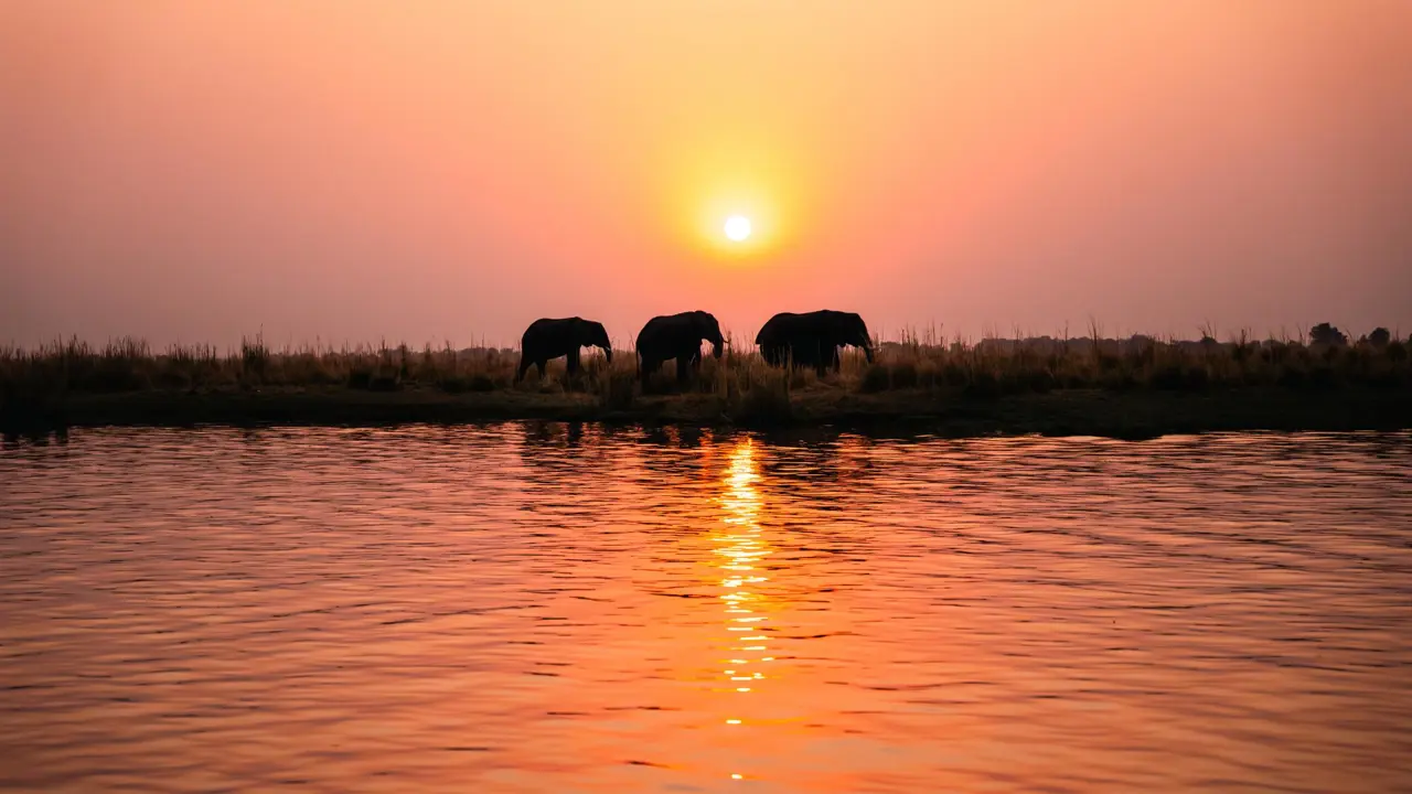 The Chobe Safari Lodge Boat Safari 11