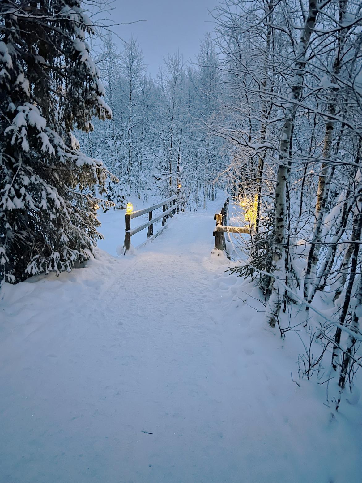 A wooden bridge covered in snow, surrounded by snow-covered trees in Swedish Lapland