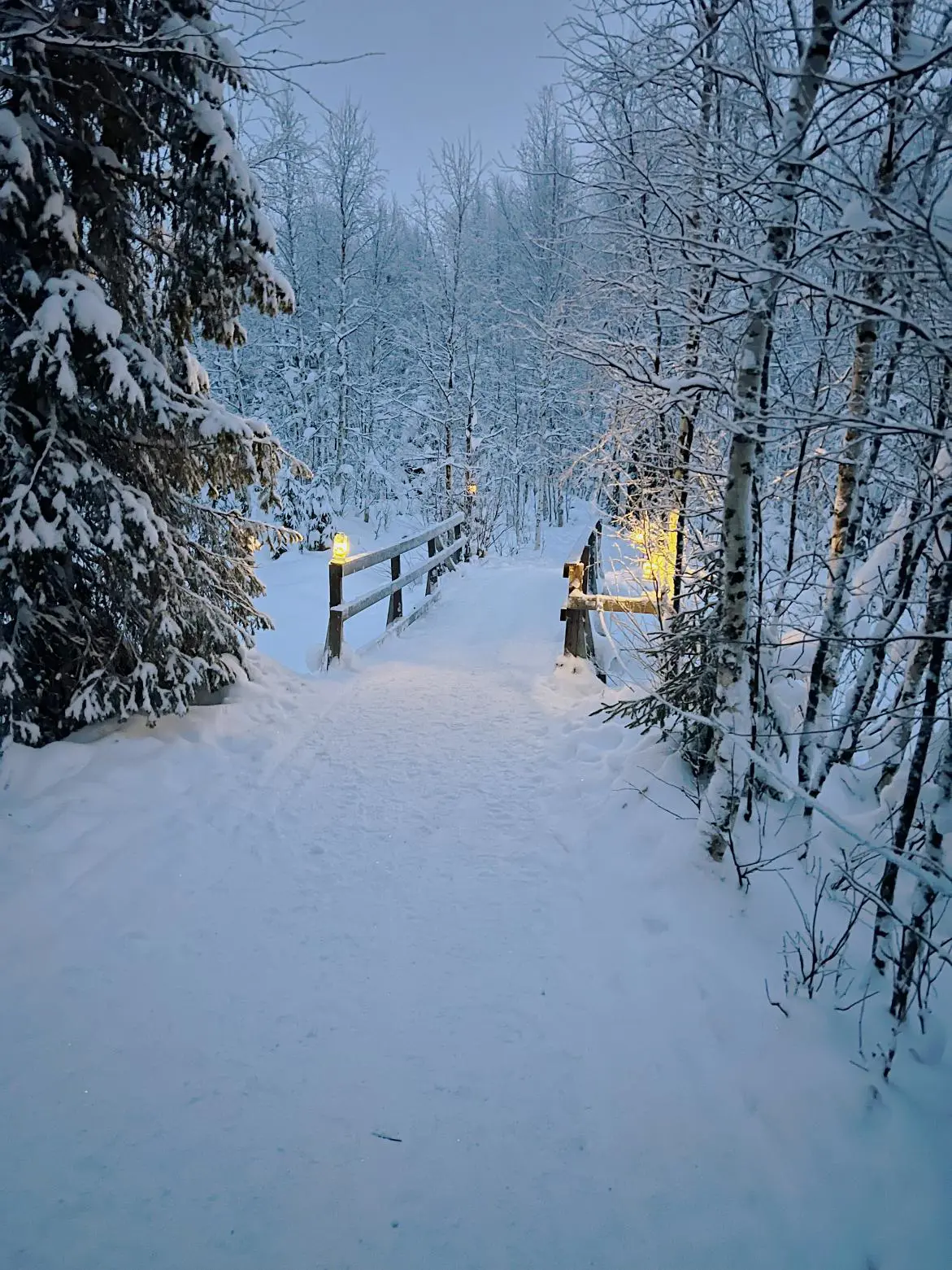 A wooden bridge covered in snow, surrounded by snow-covered trees in Swedish Lapland