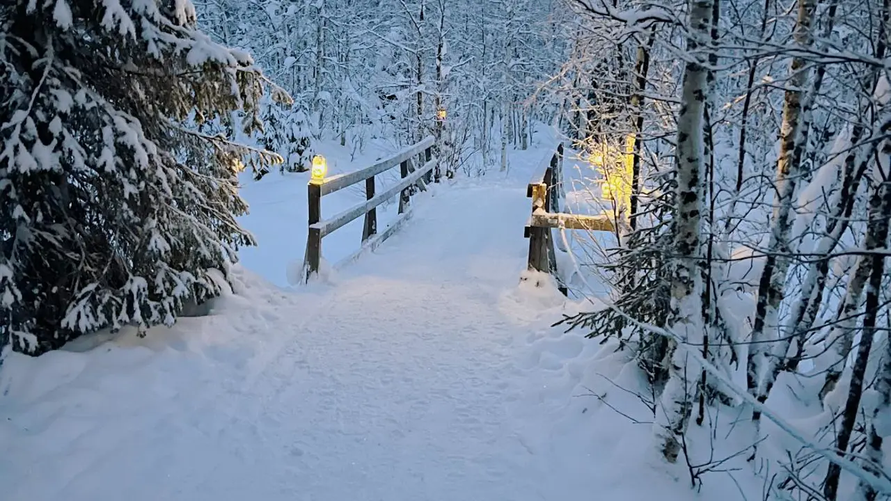 A wooden bridge covered in snow, surrounded by snow-covered trees in Swedish Lapland