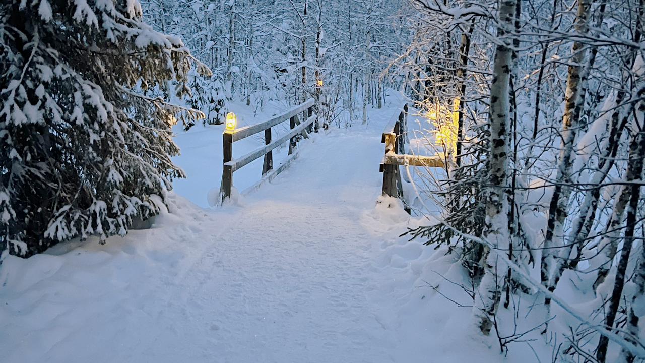 Snowing walk to find Santa