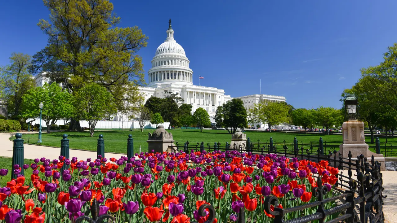 US Capitol Building, Washington DC