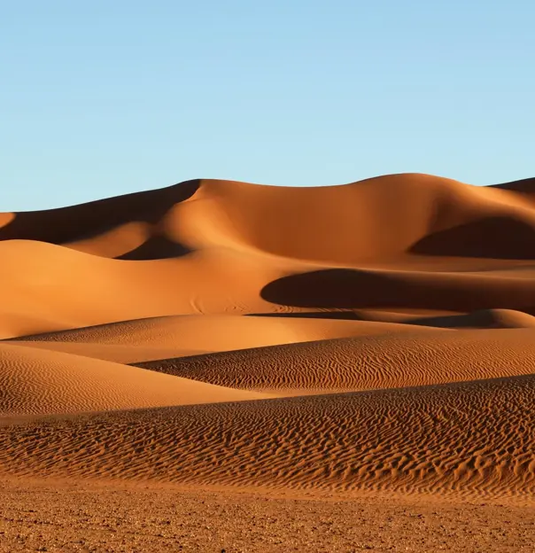 Sh 586549184 Sahara Desert Morocco