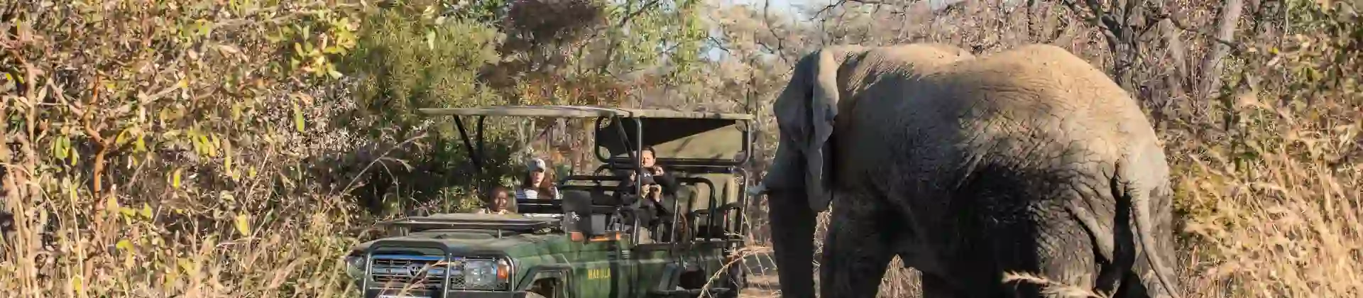 Mabula Game Lodge Wildlife 41