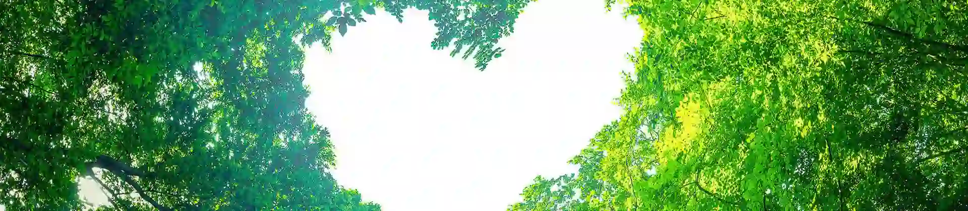 2000X1400 10 Open Sh 2003156366 1 (1)