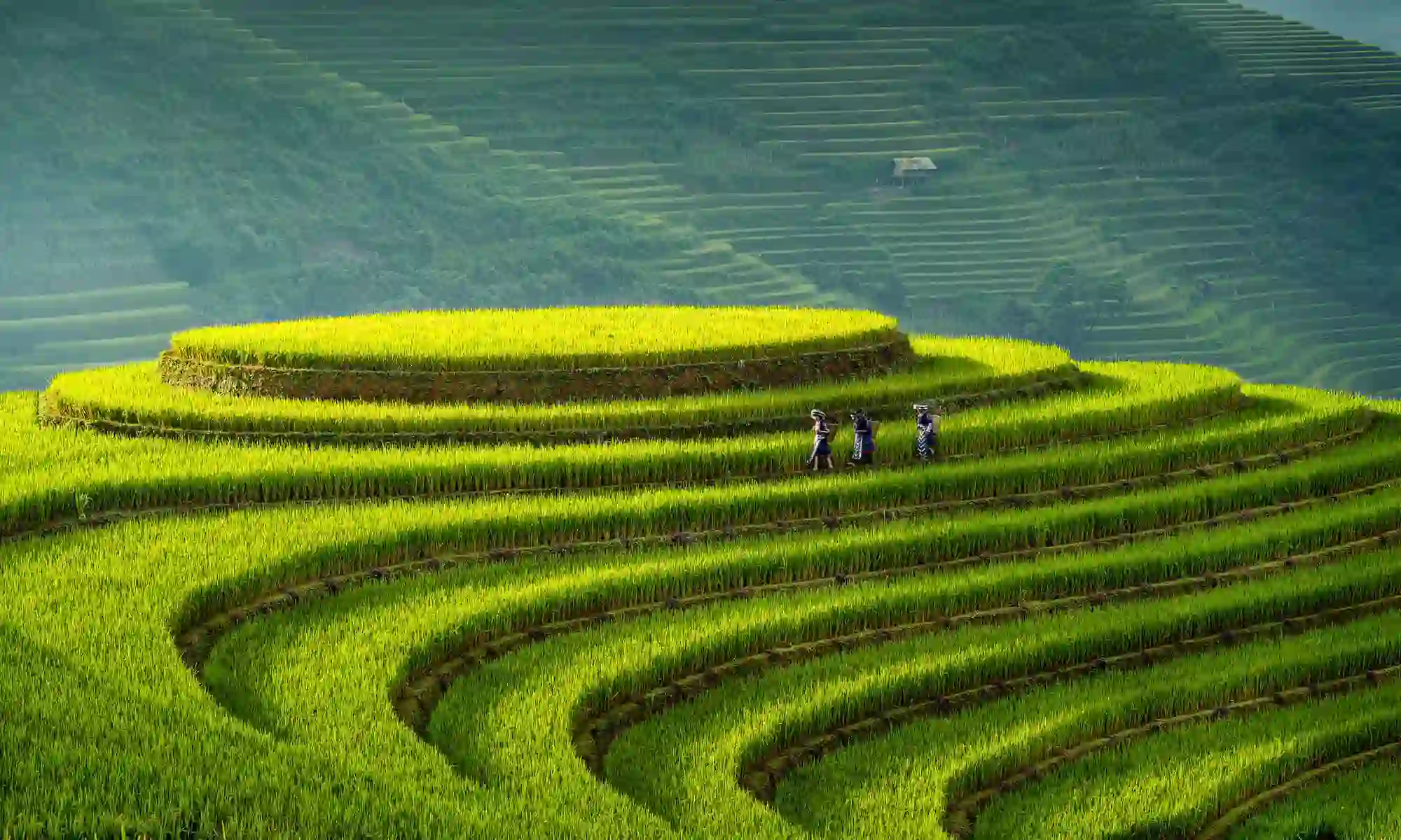 2000X1200 Carousel Background (3)