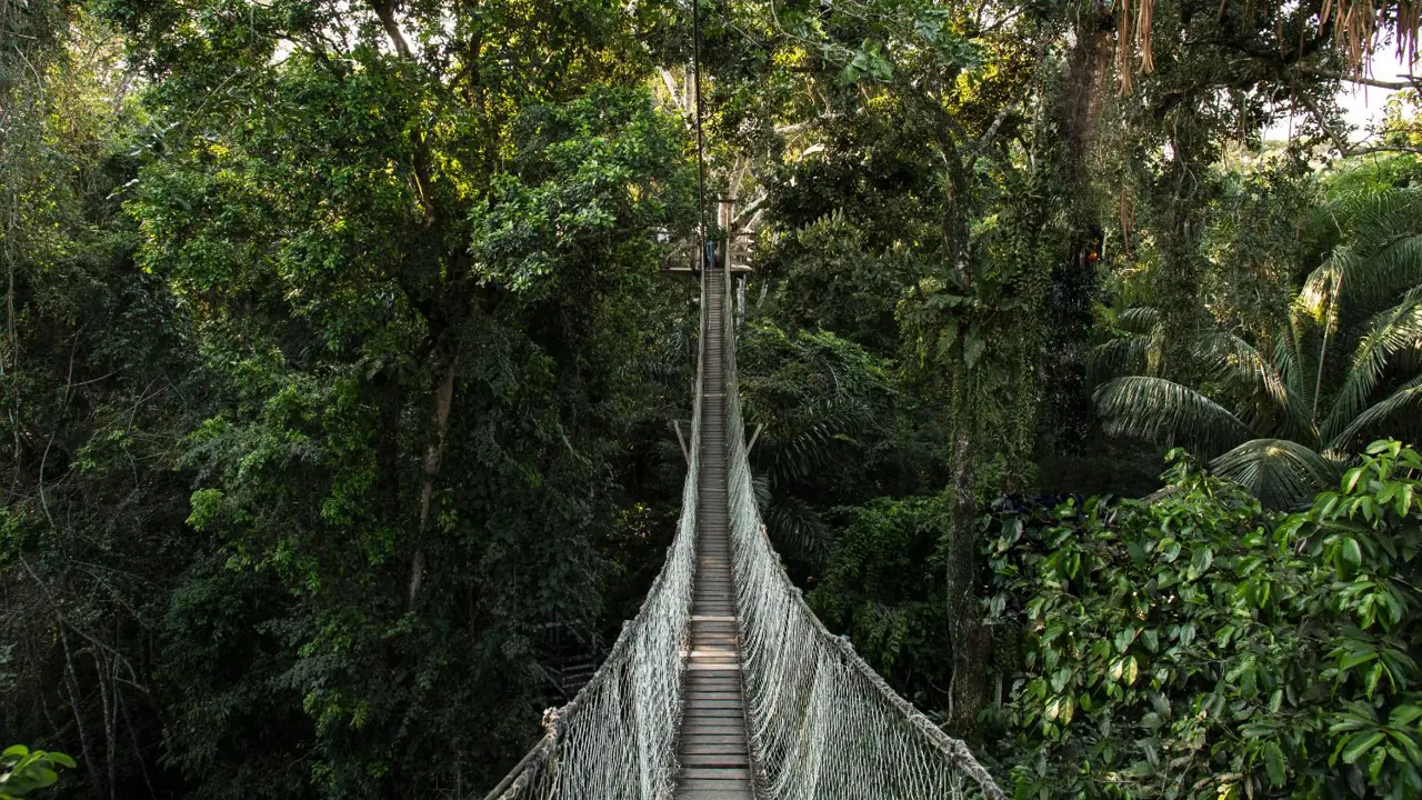 Canopy walk, Inkaterra Hacienda Concepción