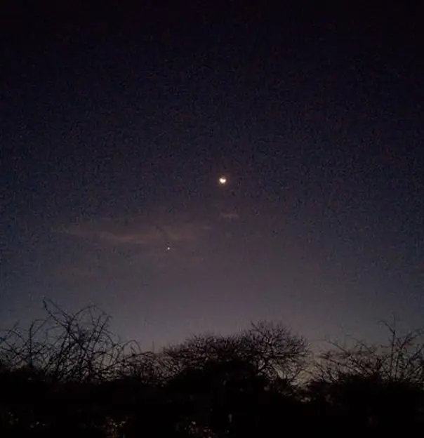 African Night Sky