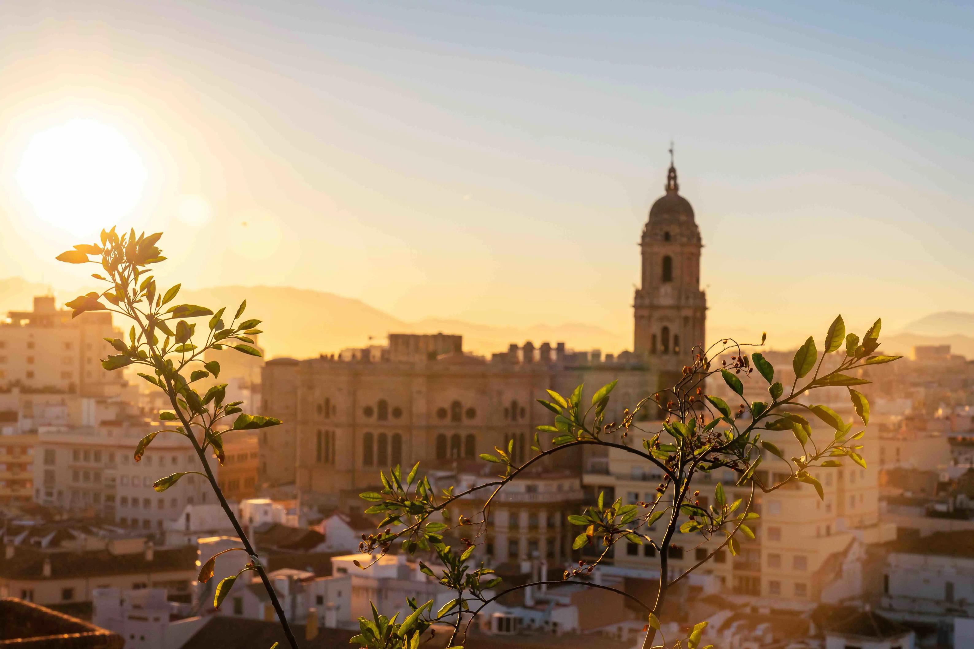 Catedral de Málaga in Spain, bathed in the warm glow of sunset, with tree branches in sharp focus in the foreground