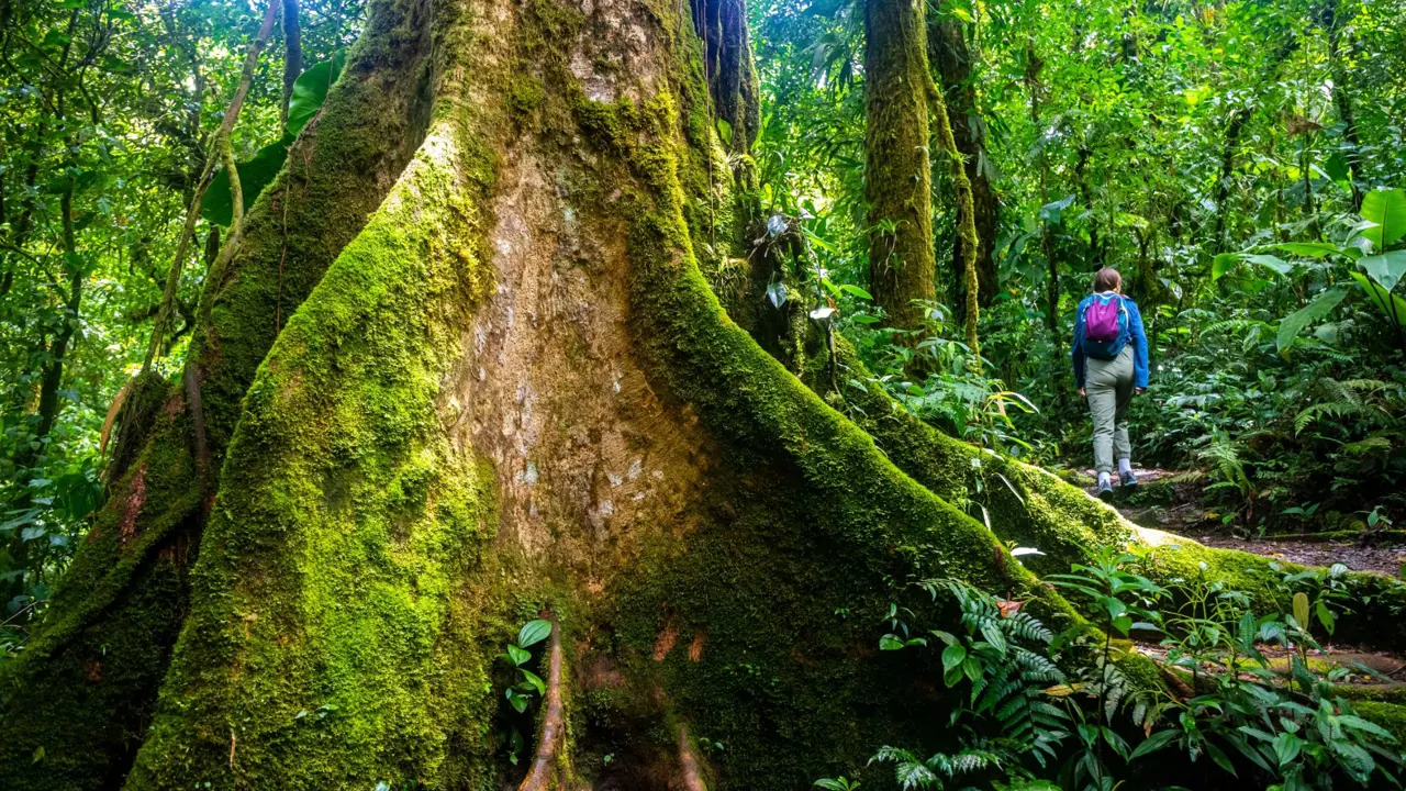 Hiking in Costa Rica 