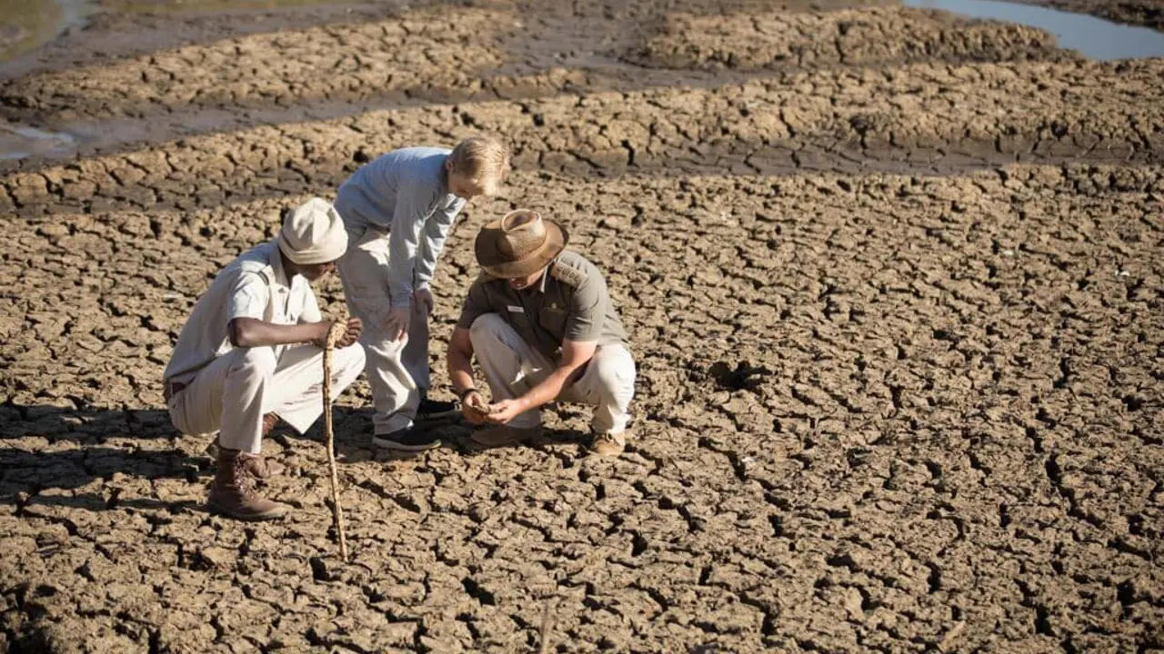 Chisomo Safari Camp Karongwe Guided Bush Walk