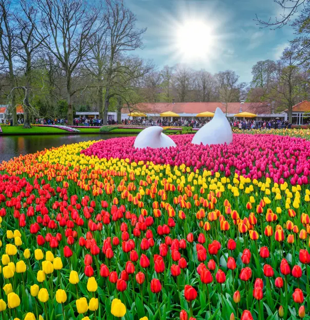 Drop monument with colorful daffodils and tulips, Keukenhof Park, Lisse, Netherlands