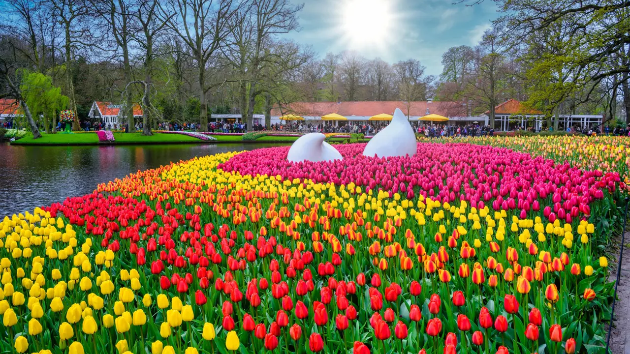 Drop monument with colorful daffodils and tulips, Keukenhof Park, Lisse, Netherlands