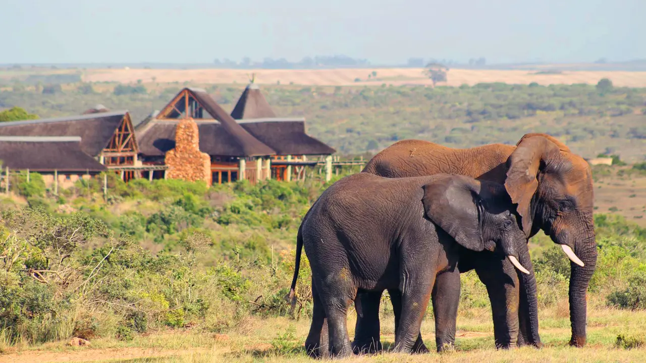 Garden Route Game Lodge