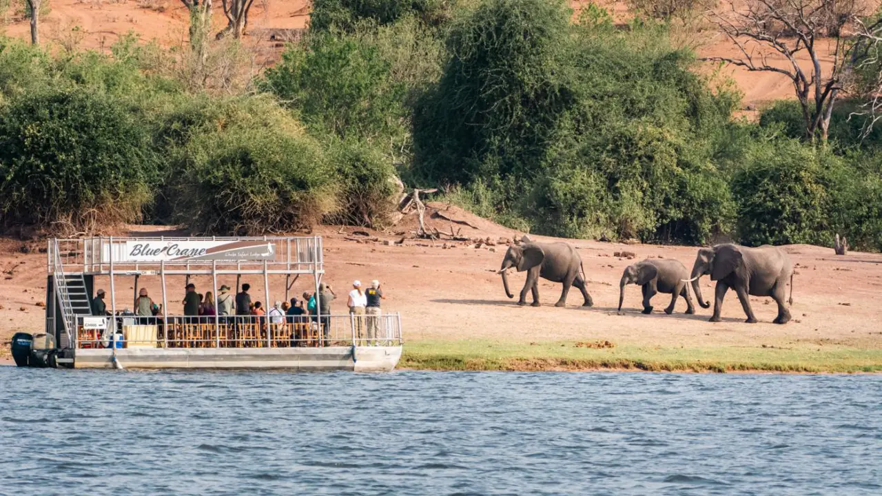 Chobe Safari Lodge Boat Safari