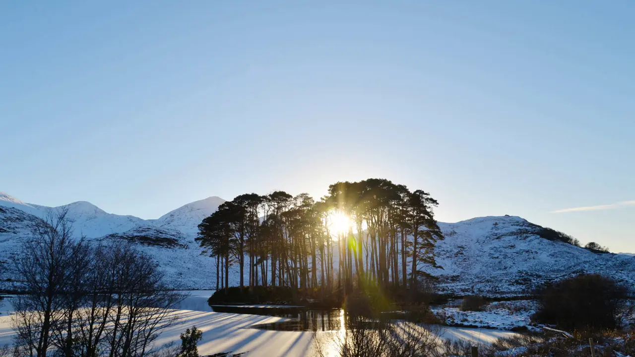 View of the Scottish Highlands in the snow, with the sun coming through the trees 