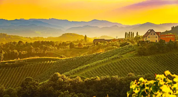 Tuscan Hills at sunset, with trees and farmland in the forefront