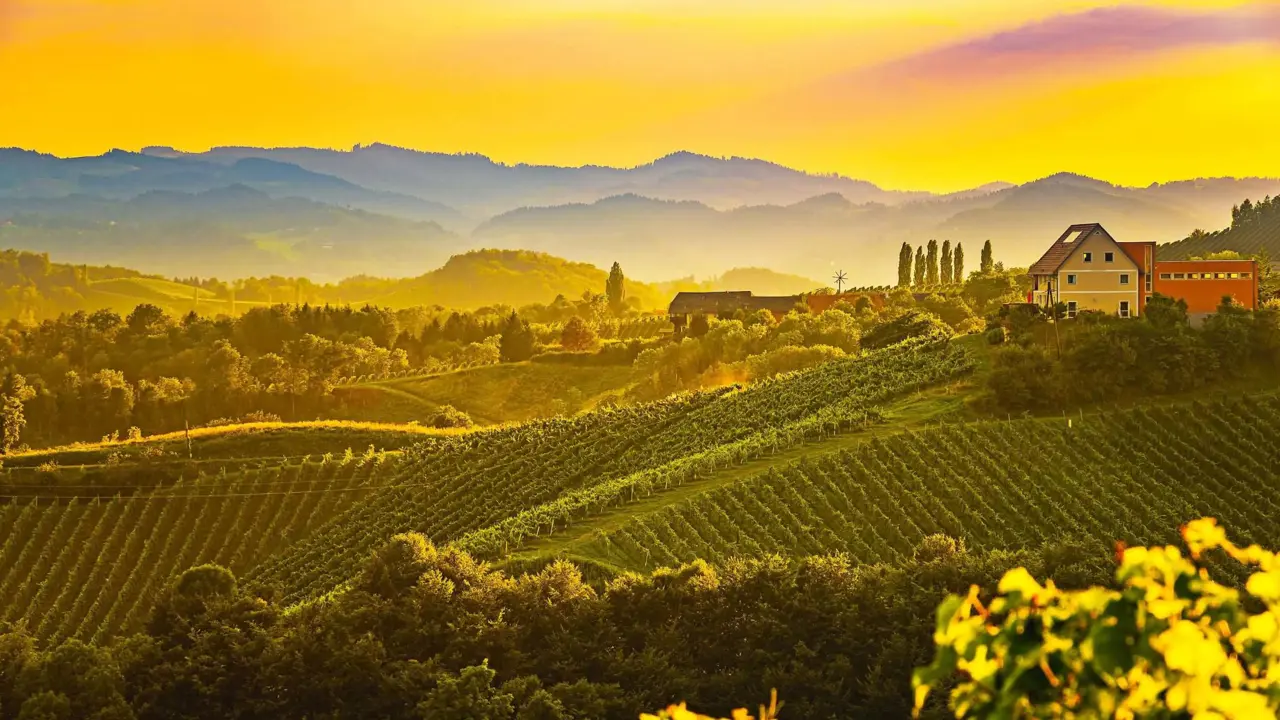 Rolling vineyards bathed in golden sunset light with a farmhouse on a hill in Tuscany, Italy