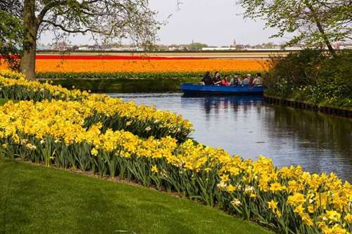 Canal ride amidst the colour