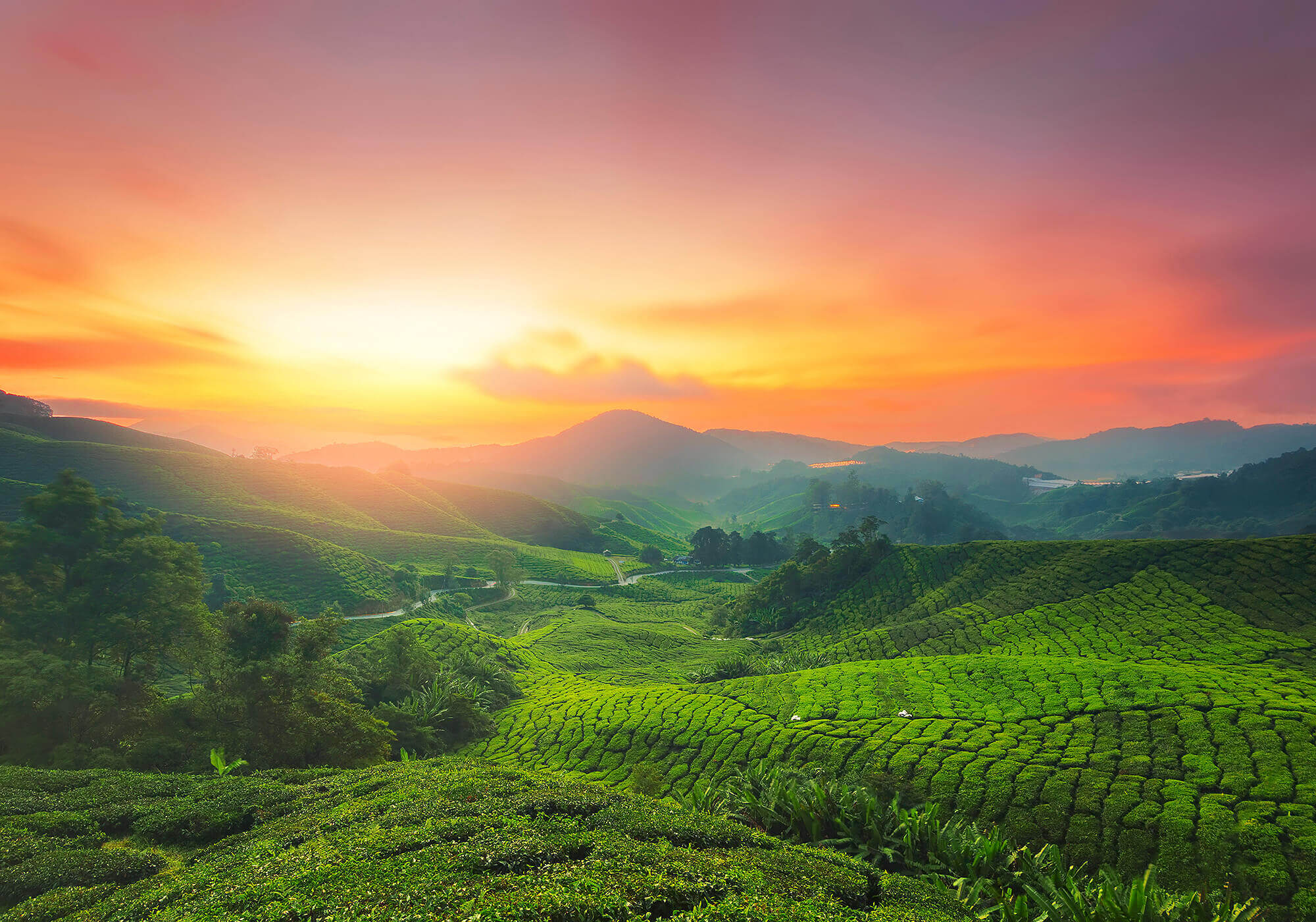 2000X1400 9 Ceo Sh 1403162003 1