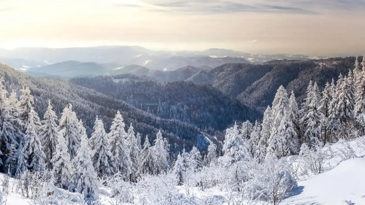 Winter Landscape In The Black Forest, Germany