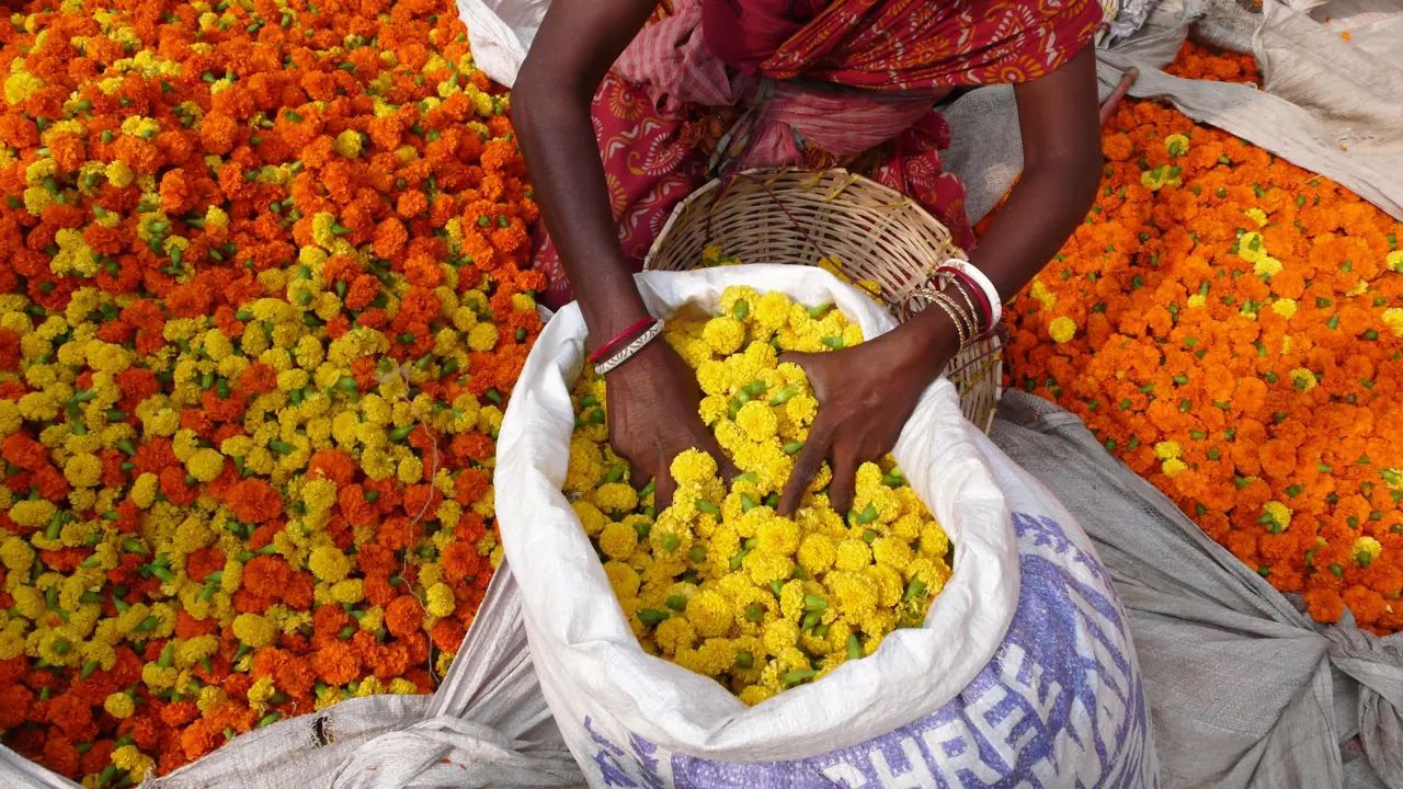 Flower market, Kolkata