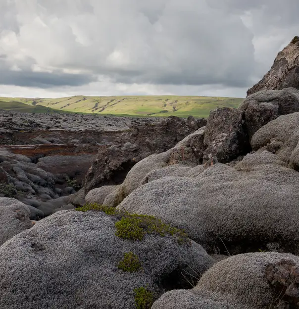 Lava Field