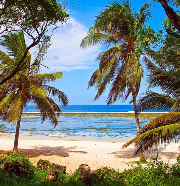 Mombasa Beach Kenya