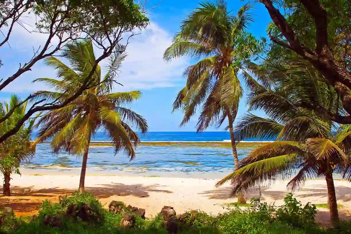 Mombasa Beach in Kenya with soft white sand, clear turquoise waters, and gentle waves, framed by palm trees and a bright blue sky