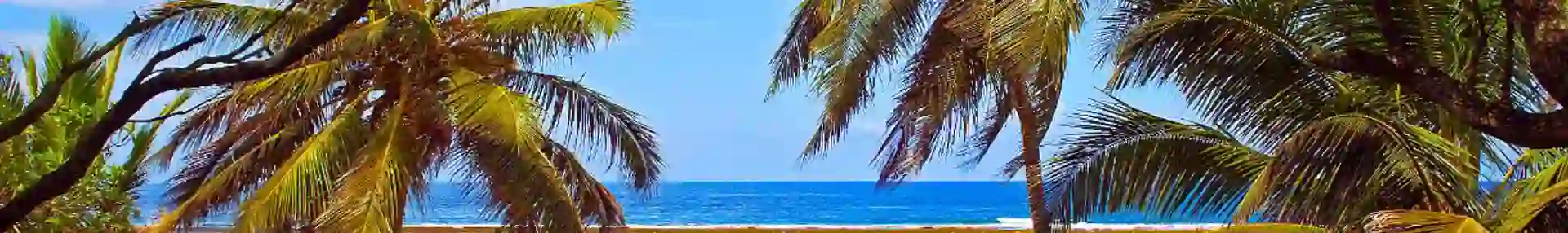 Mombasa Beach in Kenya with soft white sand, clear turquoise waters, and gentle waves, framed by palm trees and a bright blue sky