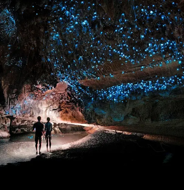 Te Anau Caves, New Zealand