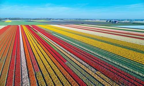 The Netherlands