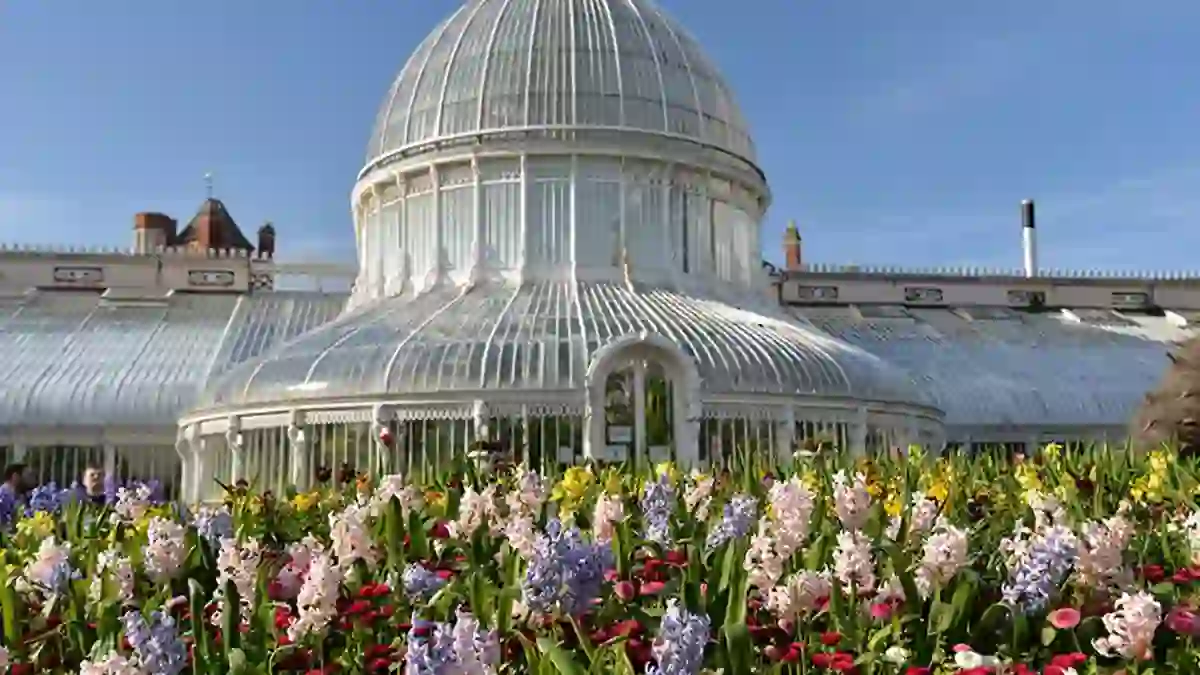 Shot of Belfast Botanic Garden, a glass building with a rounded centre and rectangular sides, and a display of pink and purple flowers in the forefront